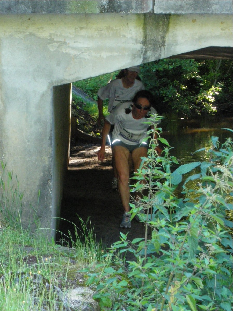 ACCN2009_Galerie01_067.jpg