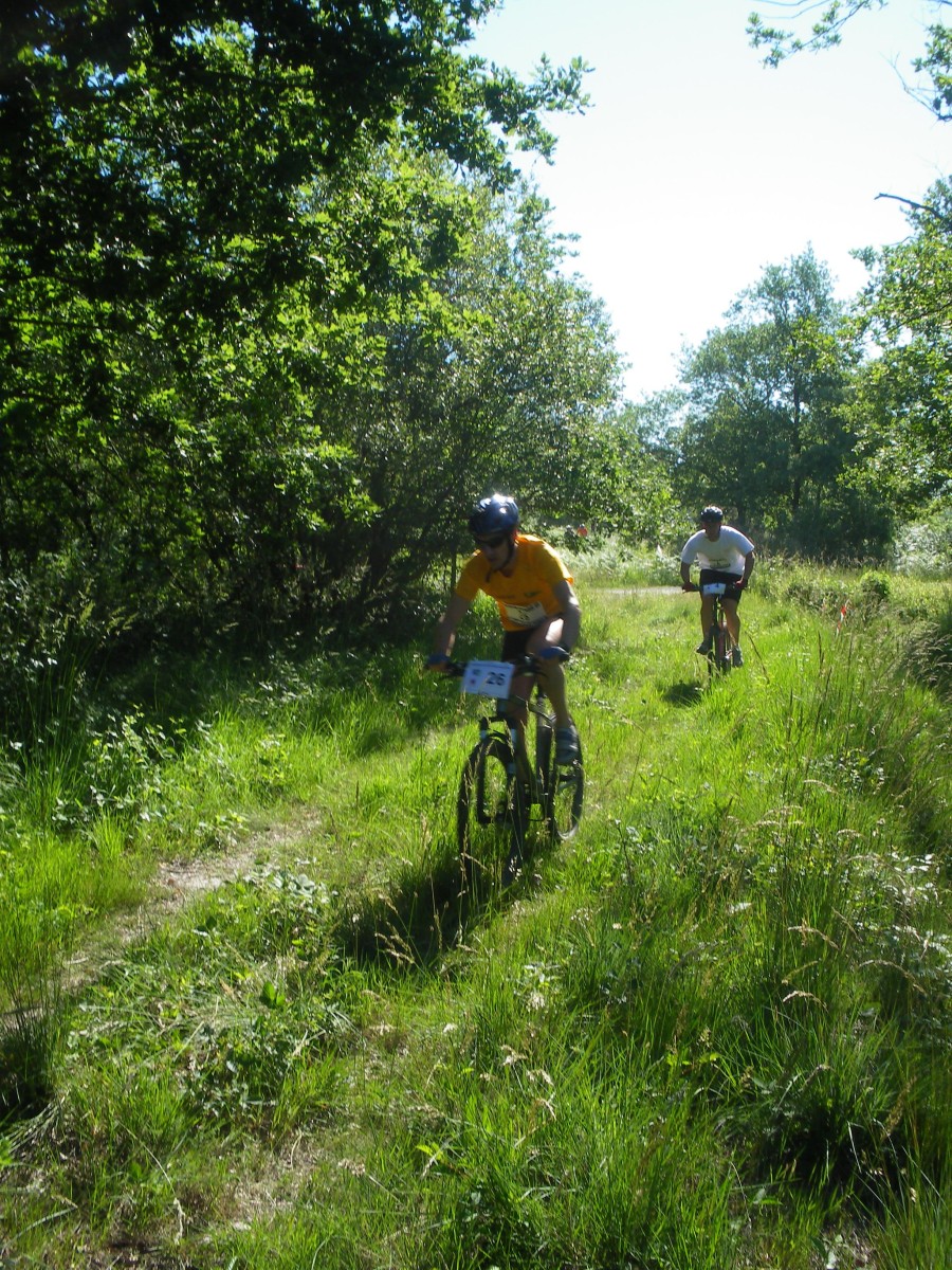 ACCN2009_Galerie02_015.jpg