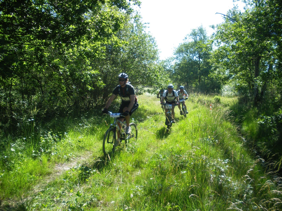 ACCN2009_Galerie02_017.jpg