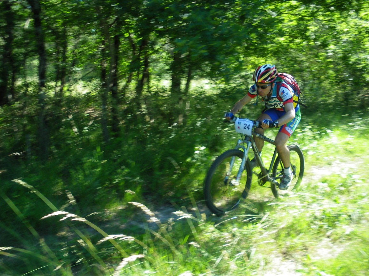 ACCN2009_Galerie02_026.jpg