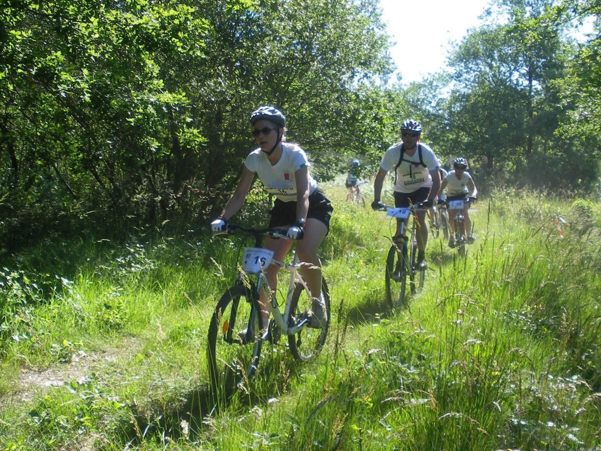 ACCN2009_Galerie02_035.jpg