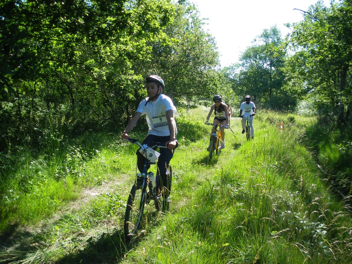ACCN2009_Galerie02_042.jpg