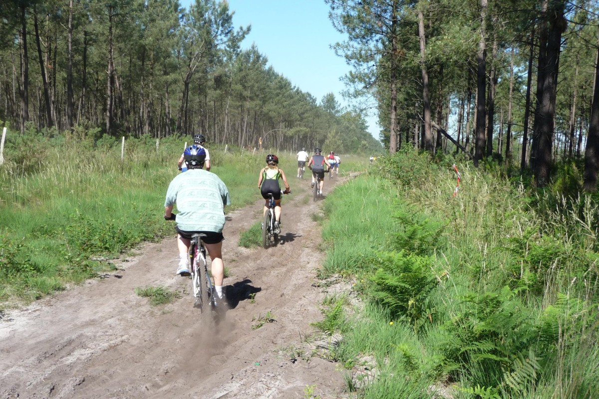 ACCN2009_Galerie02_056.jpg