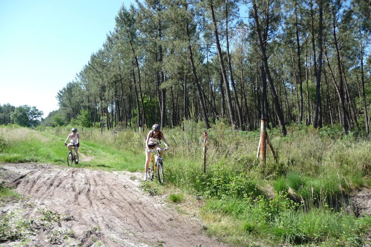 ACCN2009_Galerie02_083.jpg