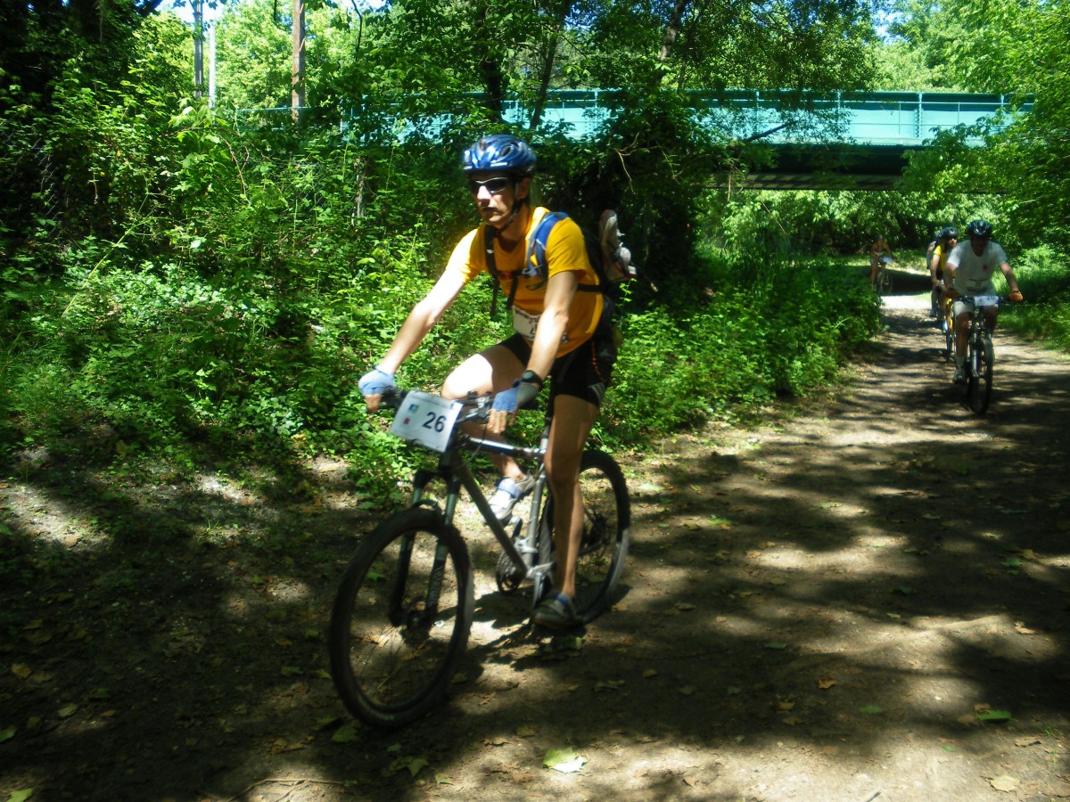 ACCN2009_Galerie03_034.jpg