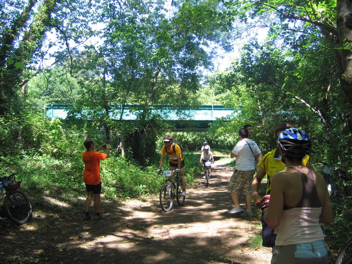 ACCN2009_Galerie03_044.jpg