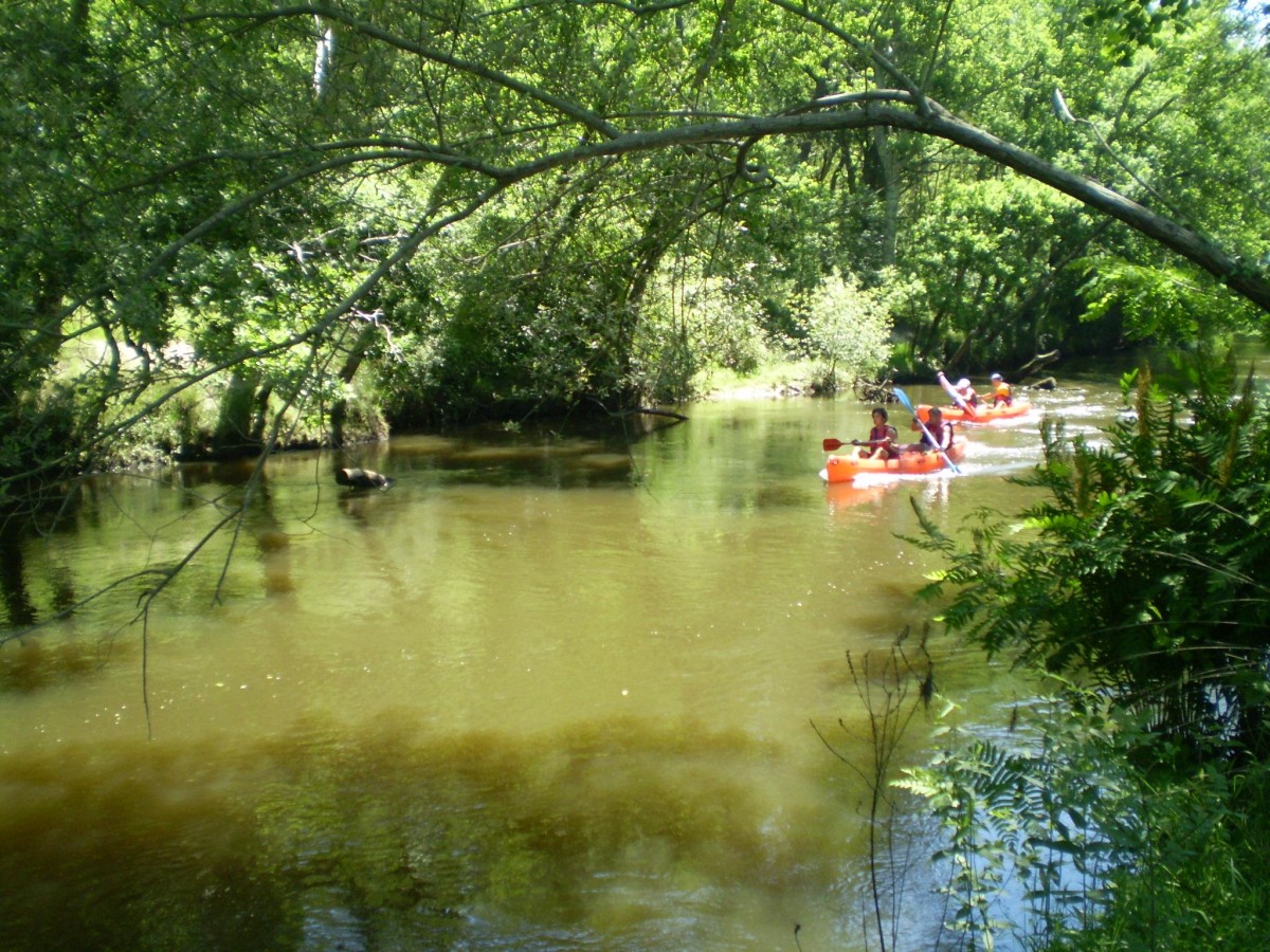 ACCN2009_Galerie04_001.jpg