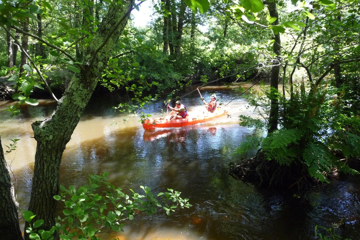ACCN2009_Galerie04_002.jpg