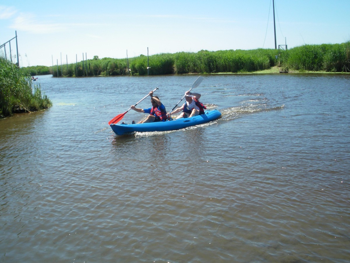 ACCN2009_Galerie04_063.jpg
