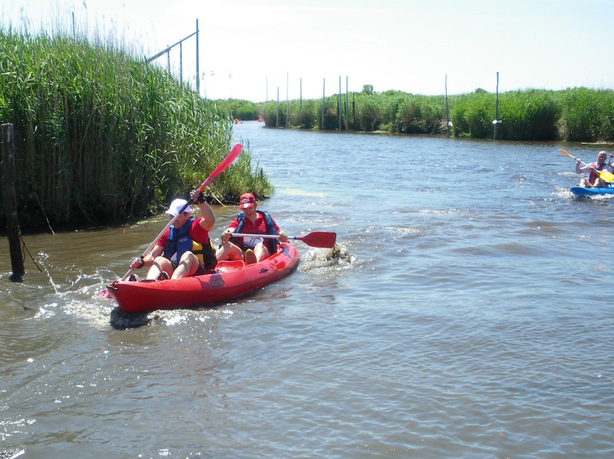 ACCN2009_Galerie04_076.jpg