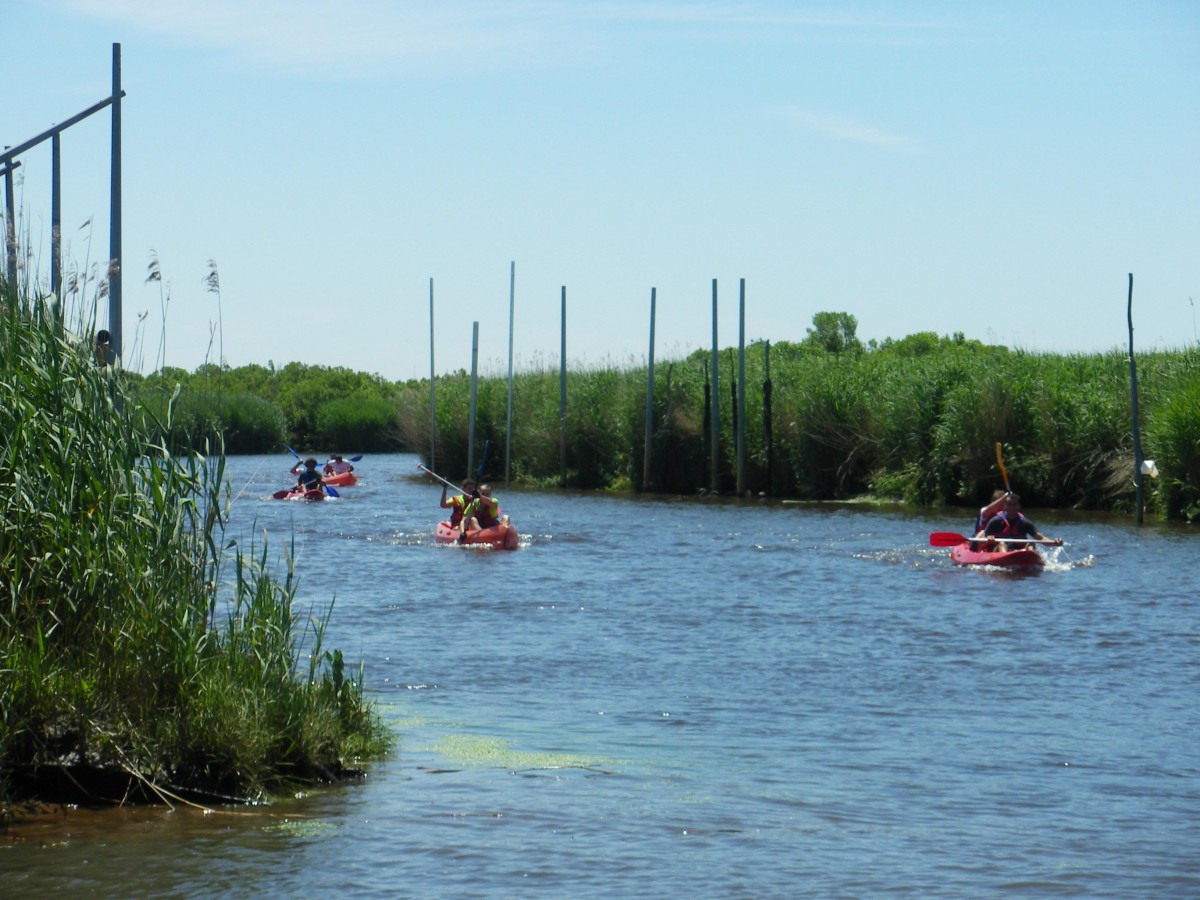 ACCN2009_Galerie04_082.jpg