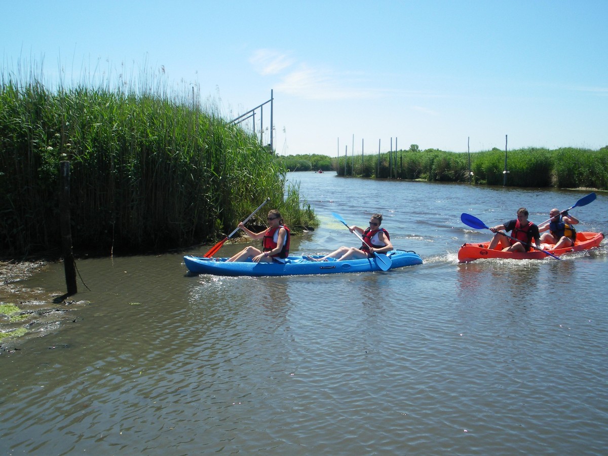 ACCN2009_Galerie04_108.jpg