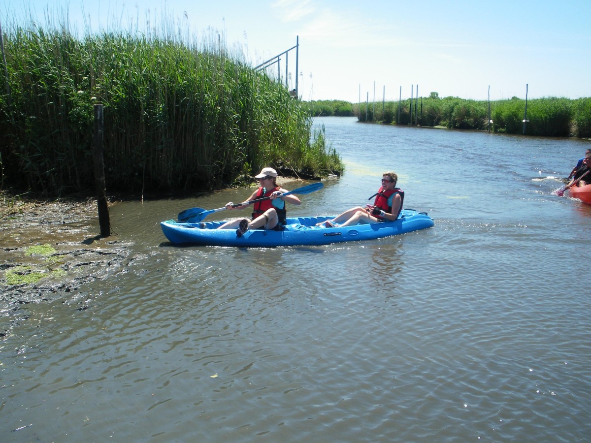 ACCN2009_Galerie04_113.jpg