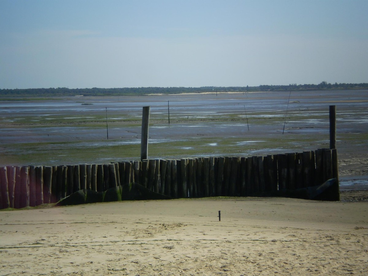 ACCN2009_Galerie05_158.jpg