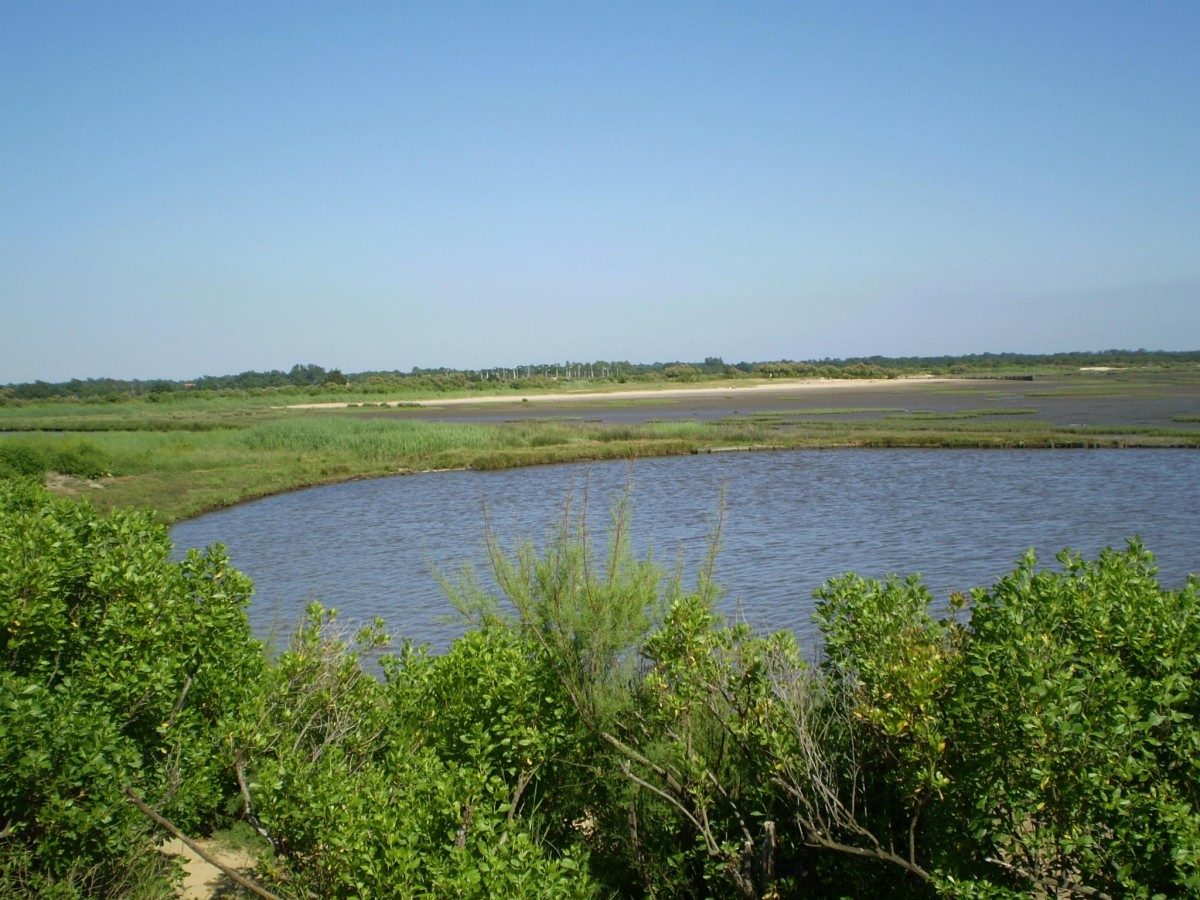 ACCN2009_Galerie05_160.jpg