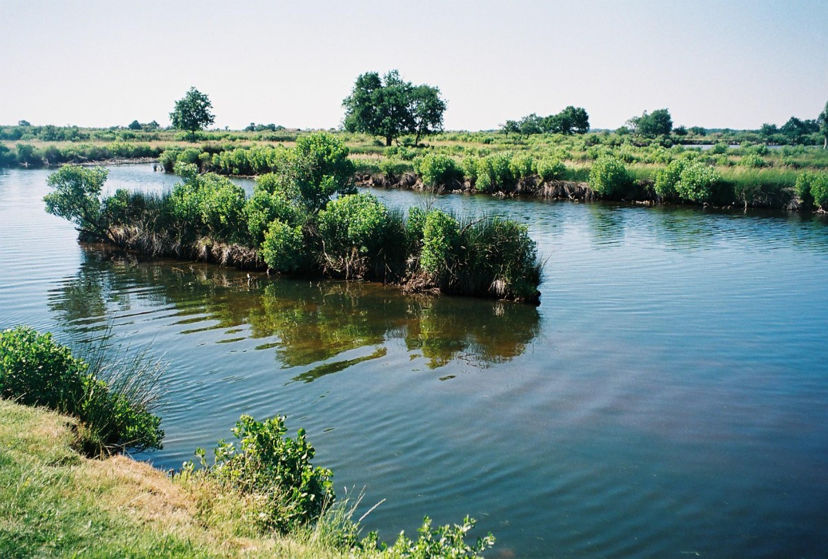ACCN2009_Galerie05_161.jpg