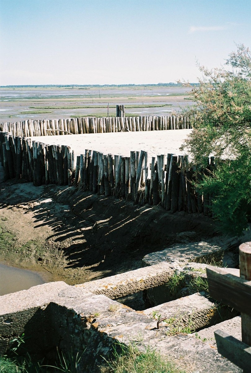 ACCN2009_Galerie05_163.jpg
