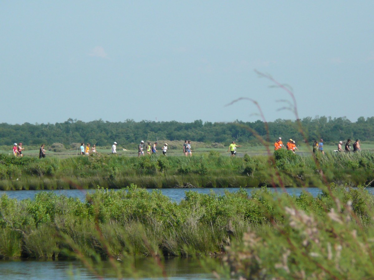 ACCN2009_Galerie05_166.jpg