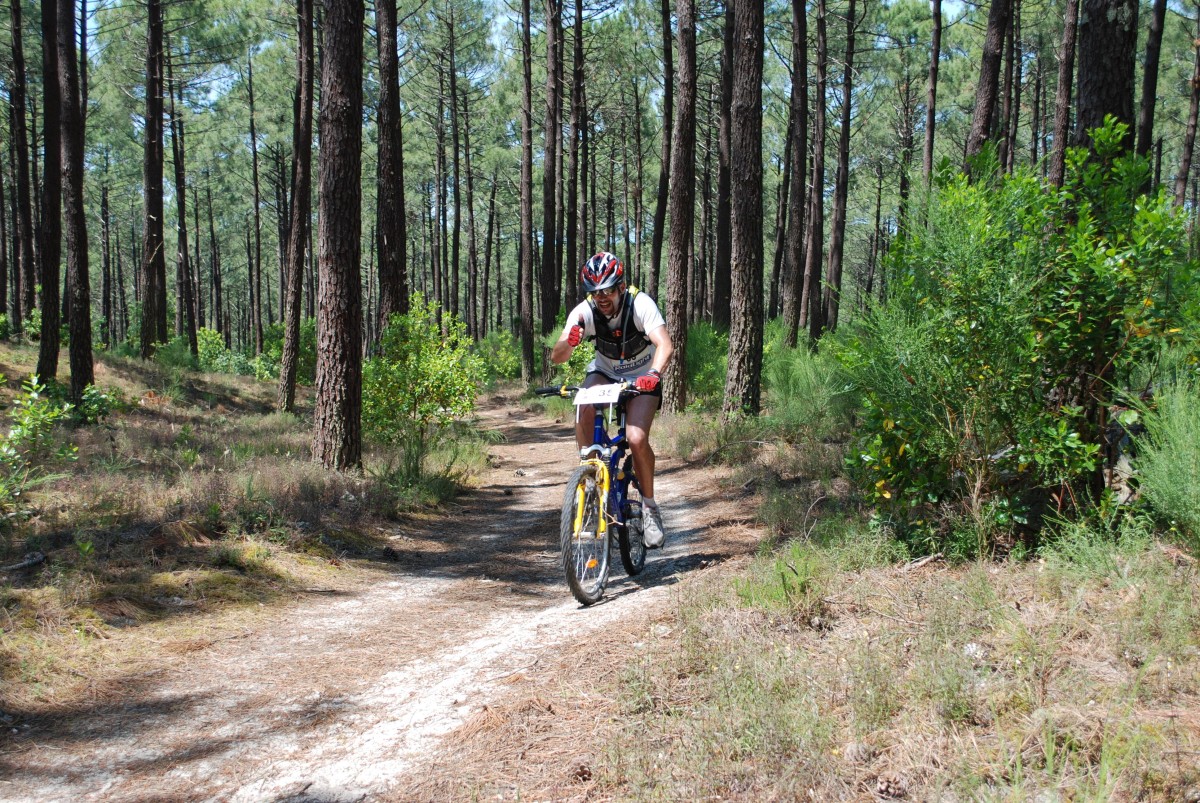 ACCN2009_Galerie09_082.jpg