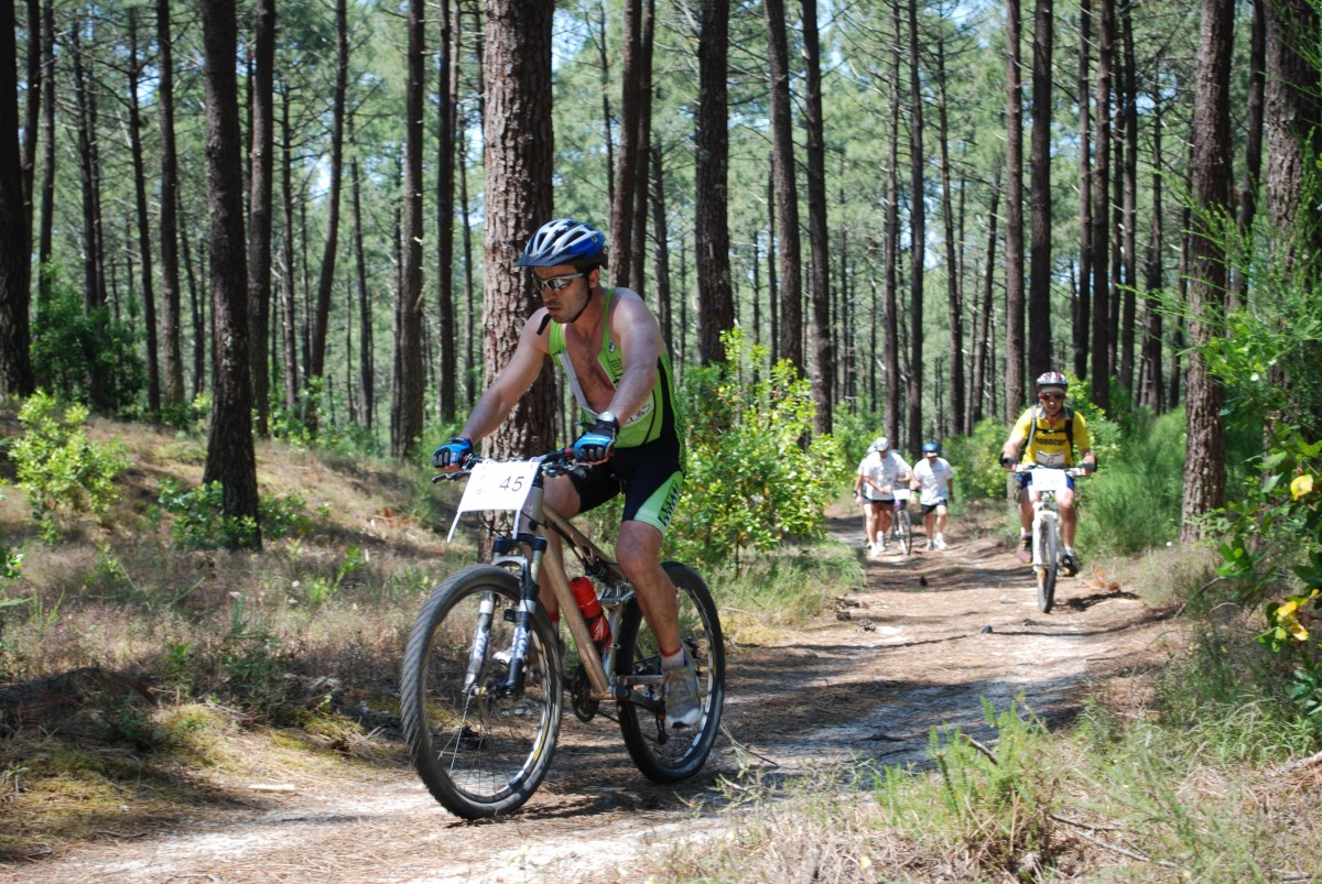 ACCN2009_Galerie09_100.jpg