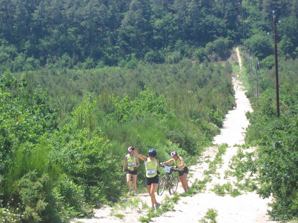 ACCN2009_Galerie09_216.jpg