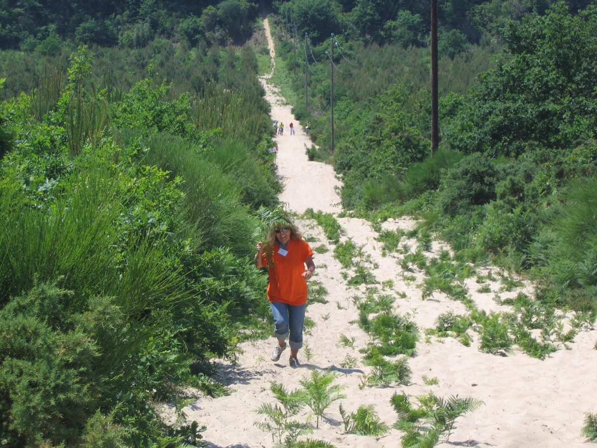 ACCN2009_Galerie09_217.jpg