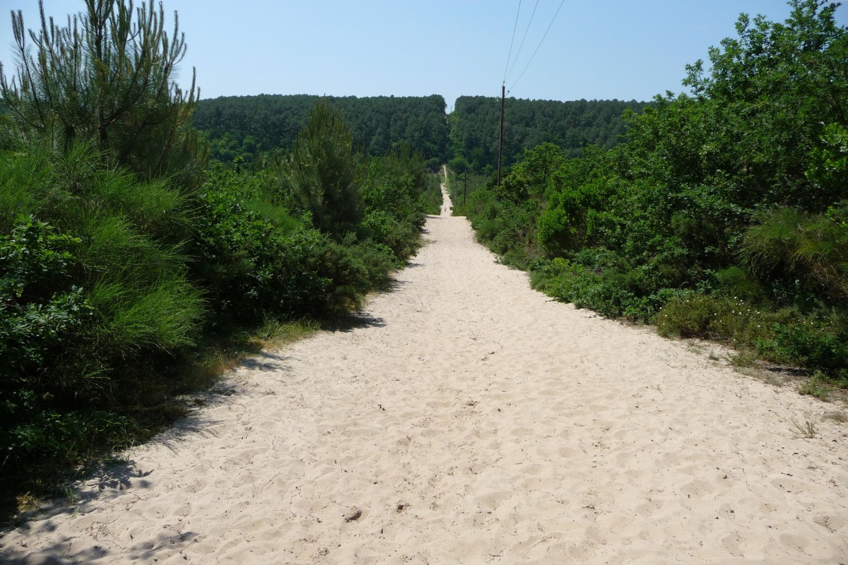 ACCN2009_Galerie09_227.jpg