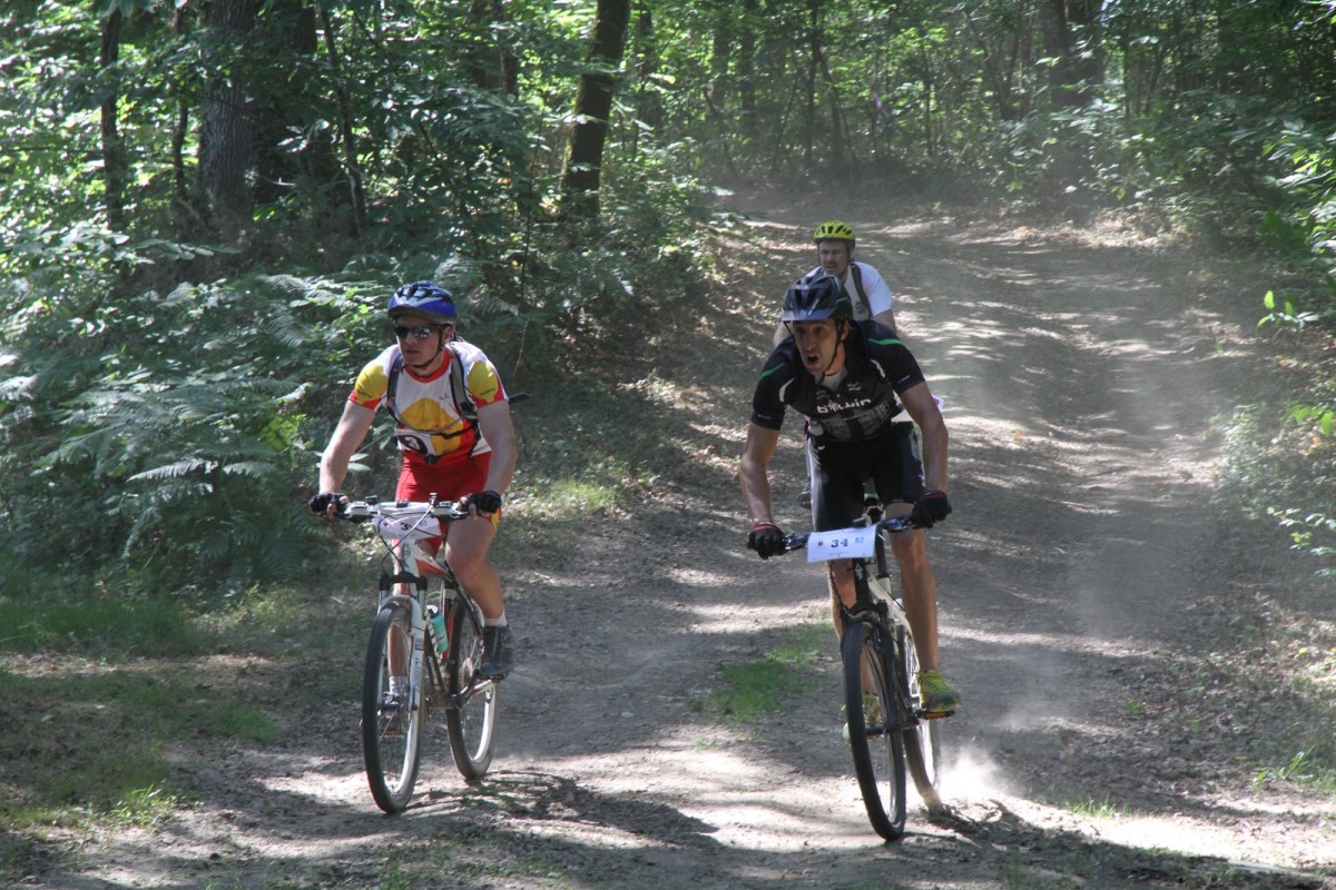 ACC2011_Galerie_03_045.jpg