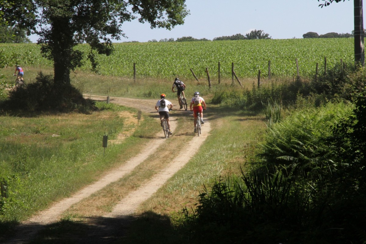 ACC2011_Galerie_03_046.jpg