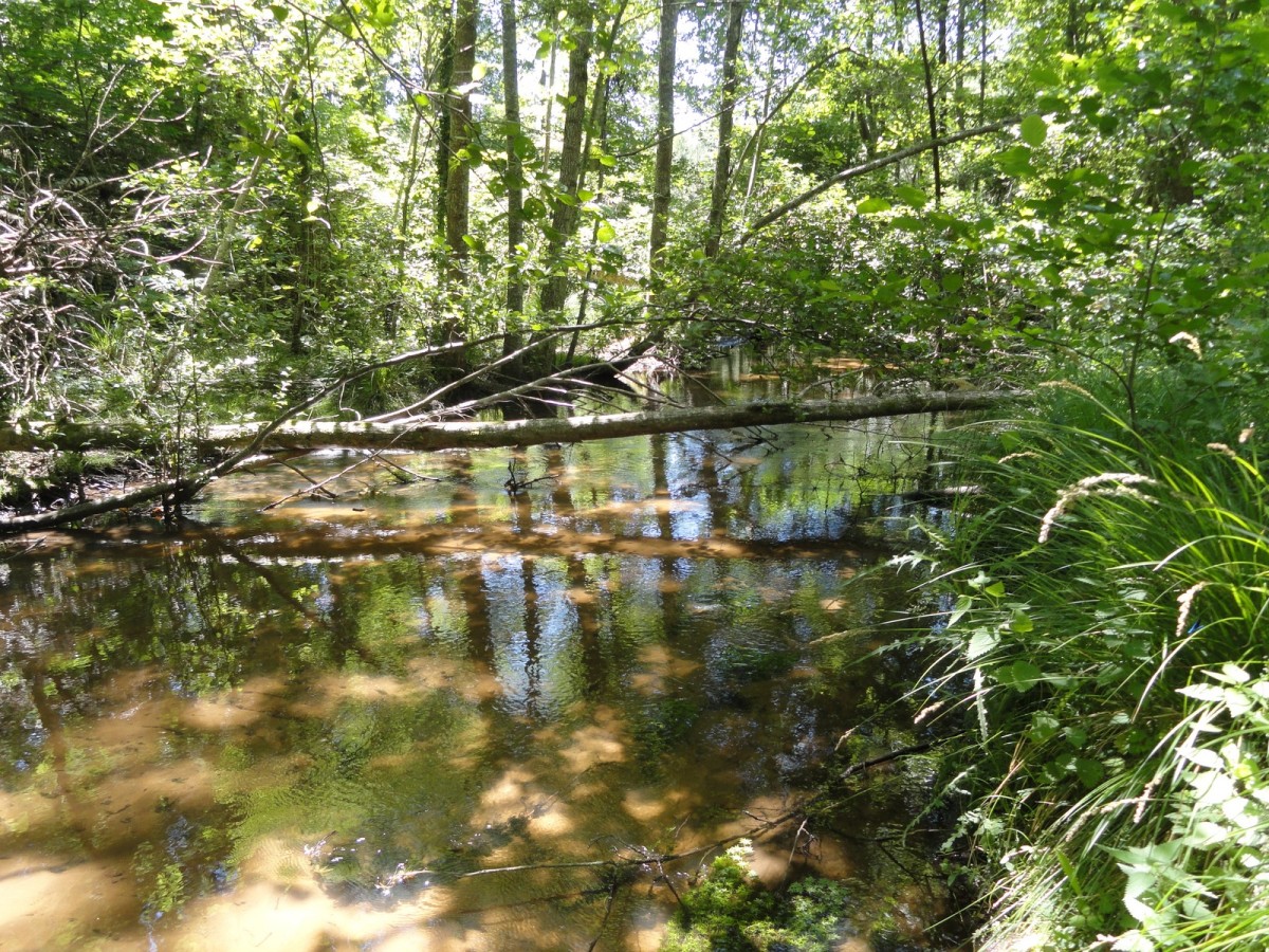 ACC2011_Galerie_06_020.jpg