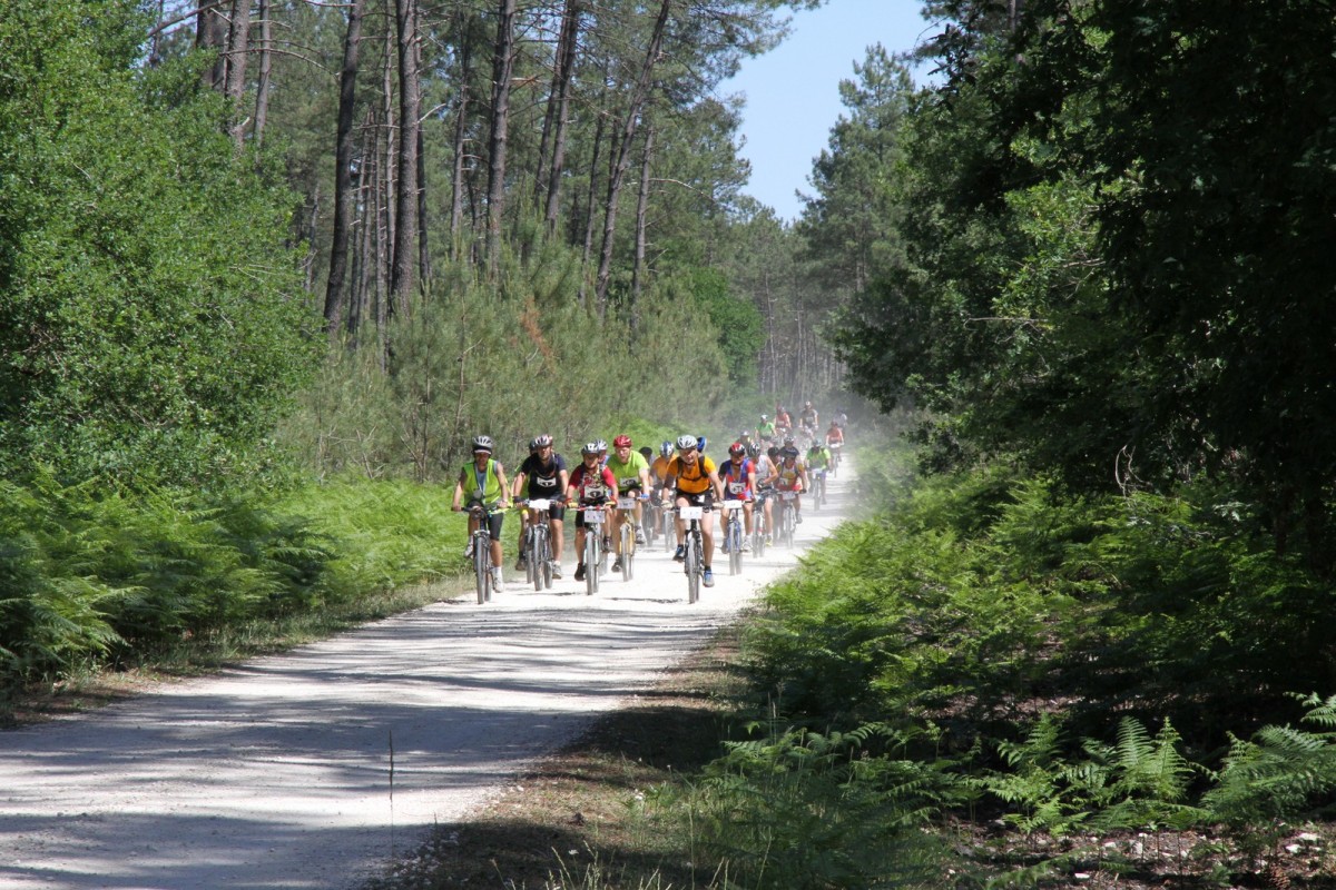 ACC2011_Galerie_07_045.jpg