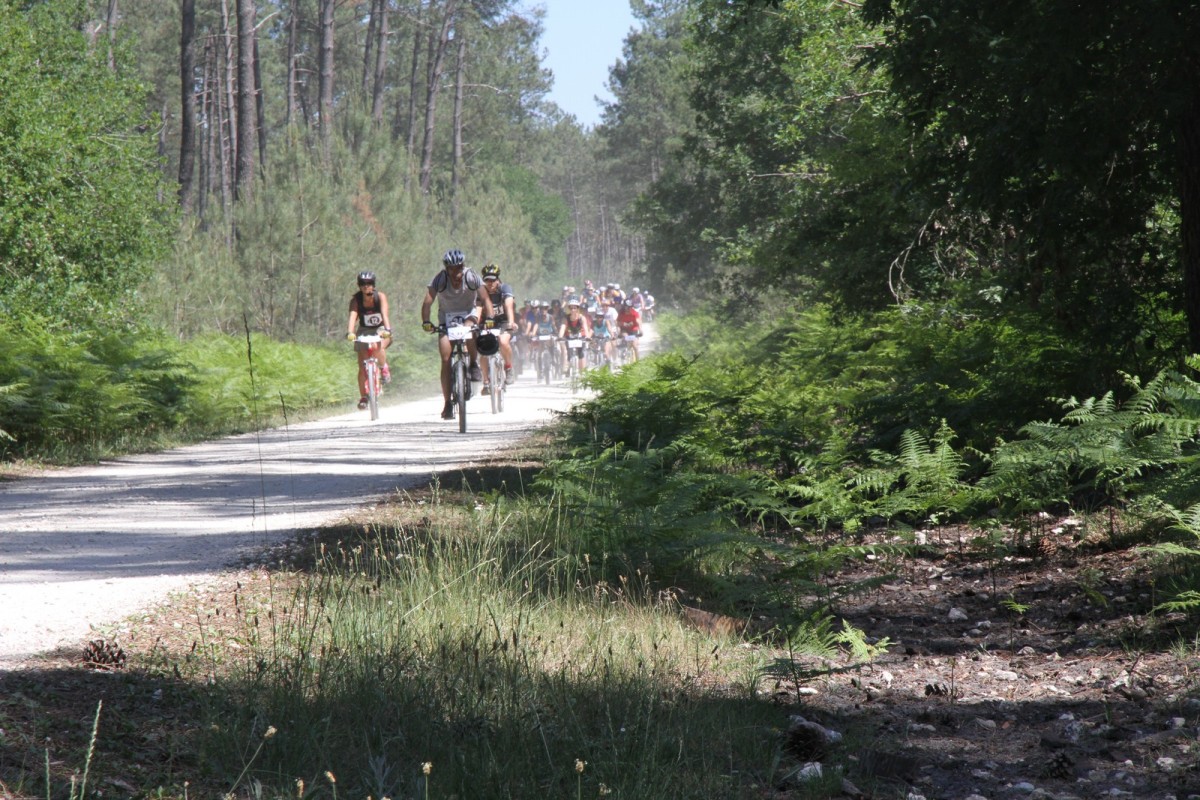 ACC2011_Galerie_07_050.jpg