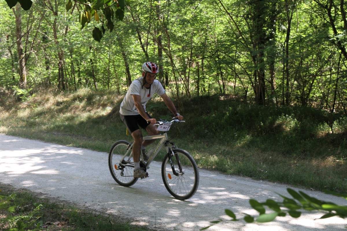 ACC2011_Galerie_07_085.jpg