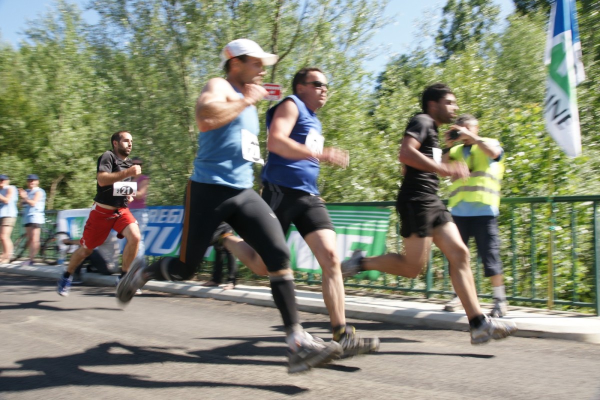 ACC2011_Galerie_07_201.jpg