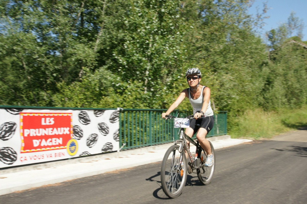 ACC2011_Galerie_07_266.jpg
