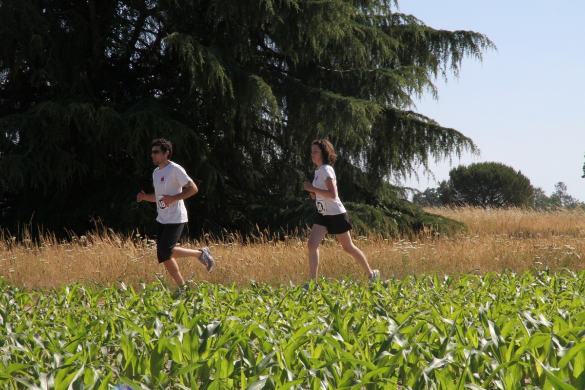 ACC2011_Galerie_10_076.jpg
