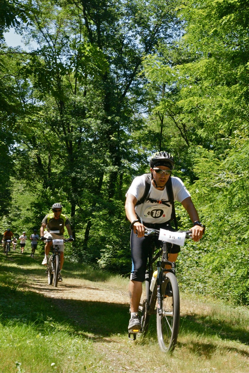 ACC2011_Galerie_11_188.jpg