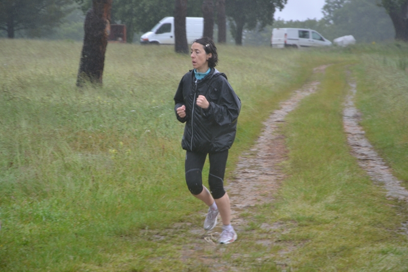 ACC2013_Galerie_10_040.jpg