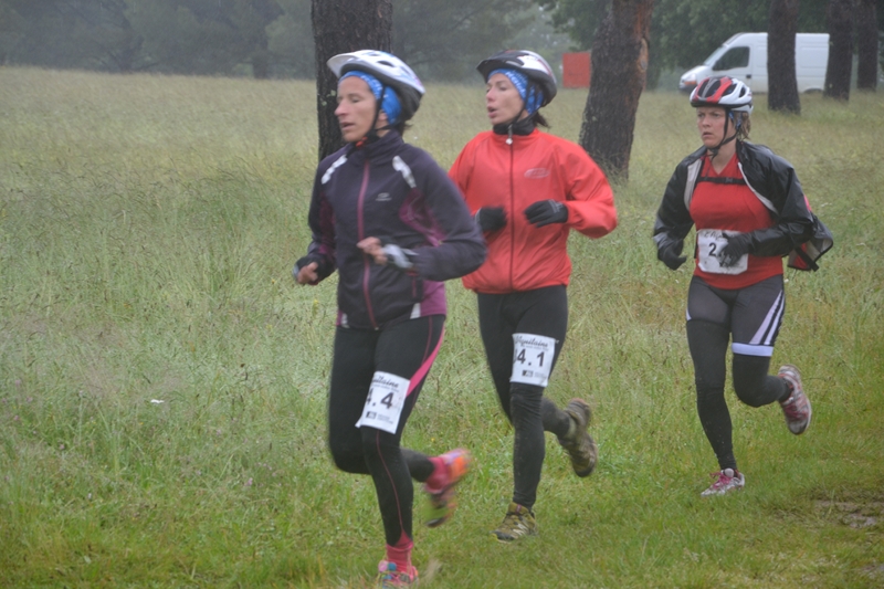 ACC2013_Galerie_10_060.jpg