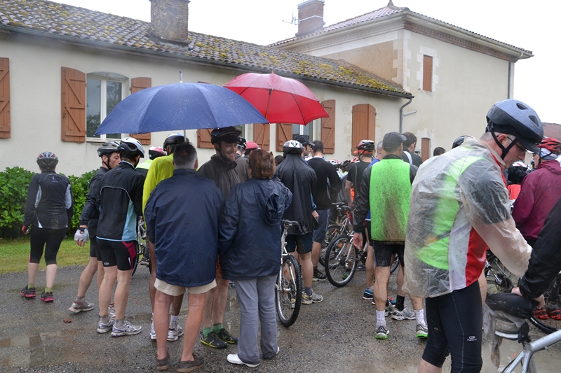 ACC2013_Galerie_11_013.jpg