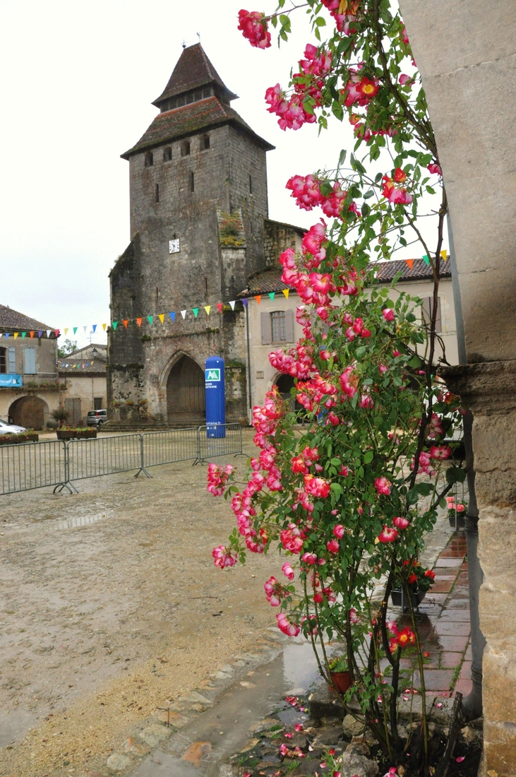 ACC2013_Galerie_12_026.jpg