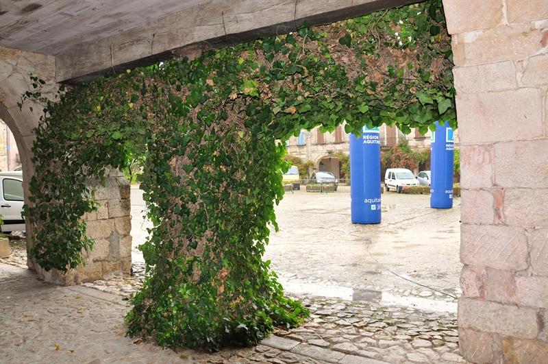 ACC2013_Galerie_12_028.jpg