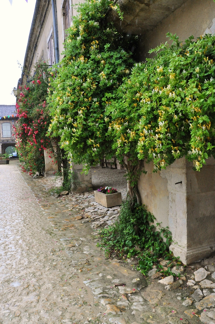 ACC2013_Galerie_12_032.jpg