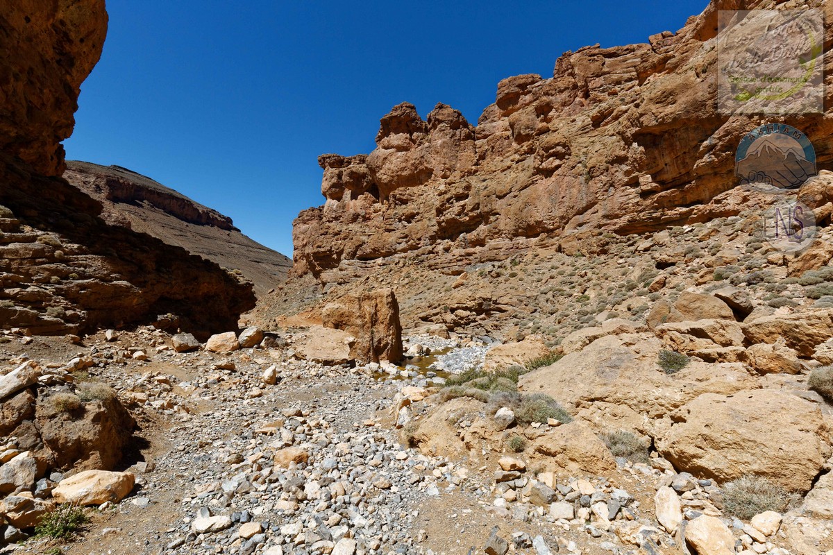 4Y4A8746_DxO_w.jpg