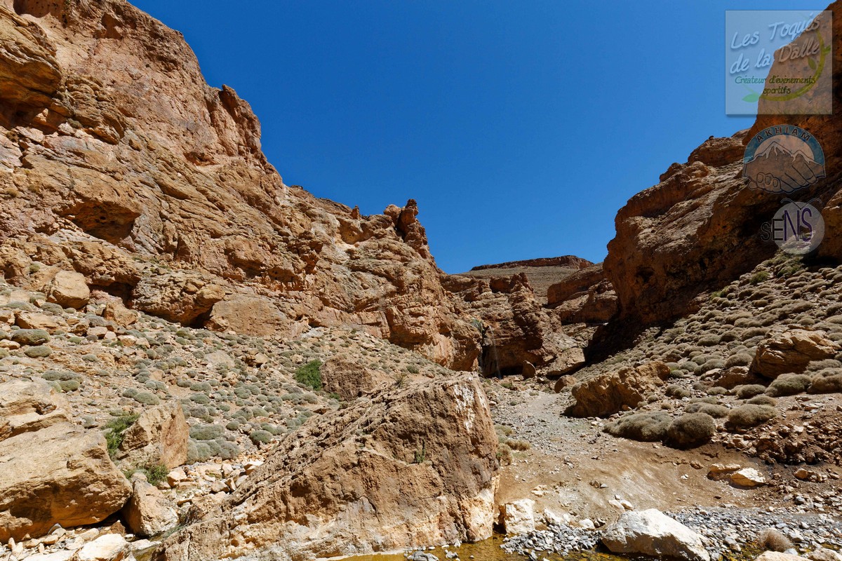 4Y4A8747_DxO_w.jpg
