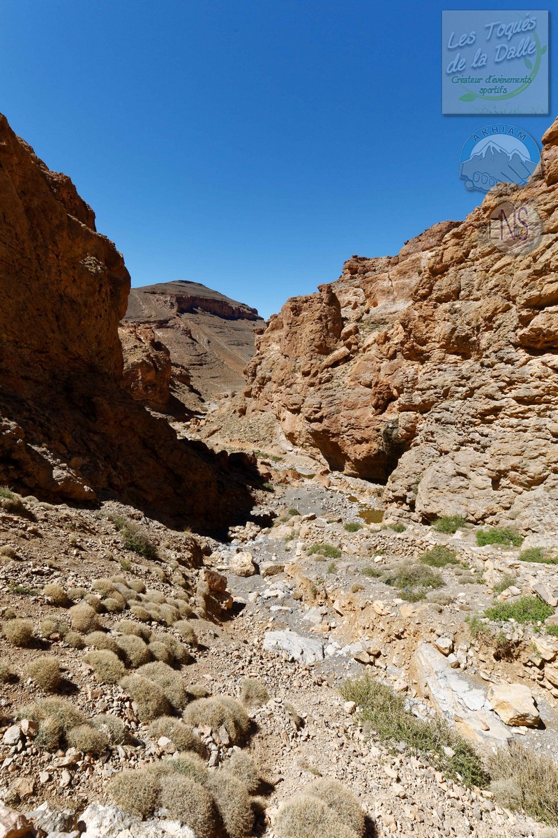 4Y4A8752_DxO_w.jpg