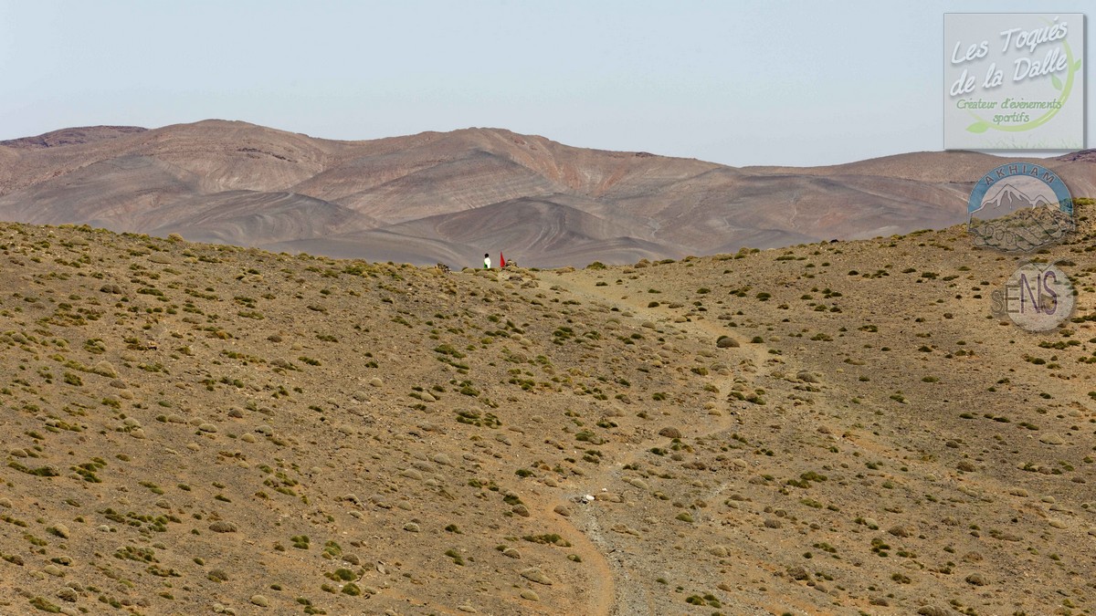 4Y4A8764_DxO_w.jpg