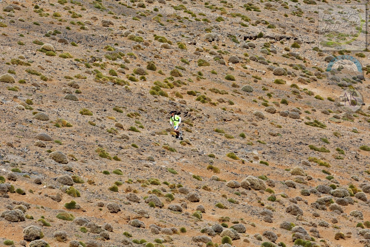 4Y4A8767_DxO_w.jpg