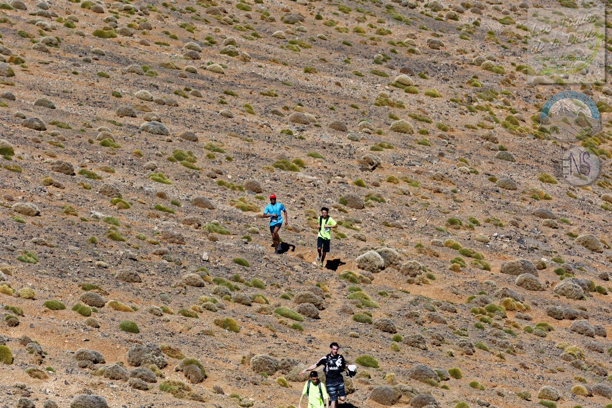 4Y4A8929_DxO_w.jpg