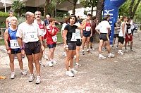 toques-1.jpg toques-1.jpg